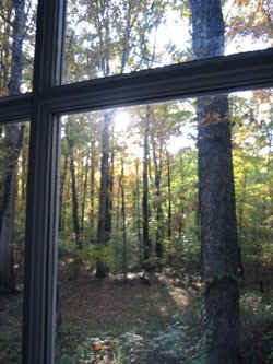 woodwindow.jpg (53486 bytes)